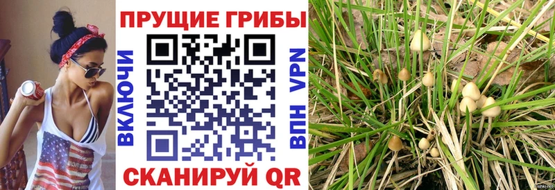 Галлюциногенные грибы мицелий  Палласовка 